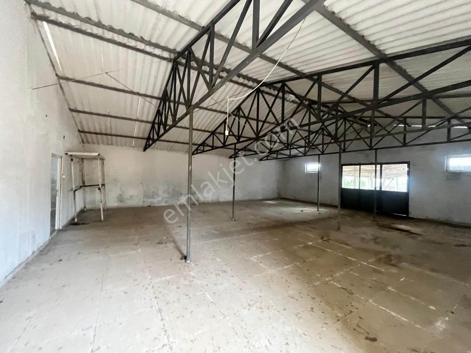 Kazdağı Uzantılarında Çiftlik, Yapı Kayıt Belgeli Ev, İşyeri, Elektrik Su Terzialan Çan Çanakkale - Görsel 4