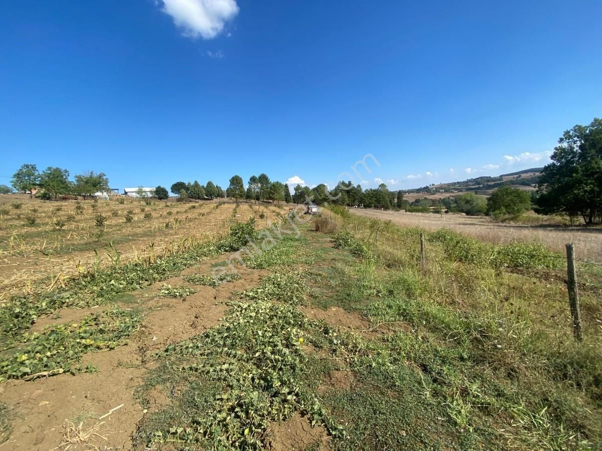 Sakarya Adapazarı Aşırlar Mahallesinde Fırsat Tarla - Görsel 30