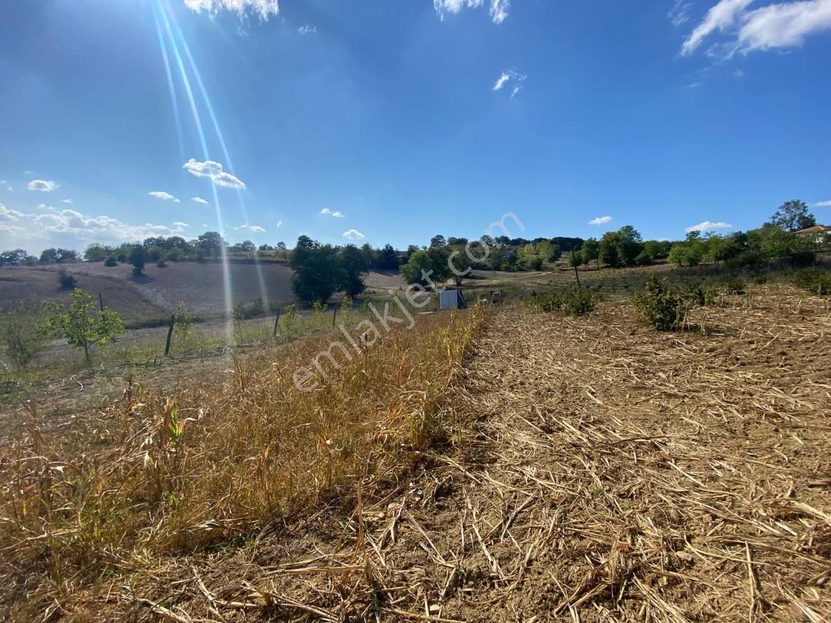 Sakarya Adapazarı Aşırlar Mahallesinde Fırsat Tarla - Görsel 23