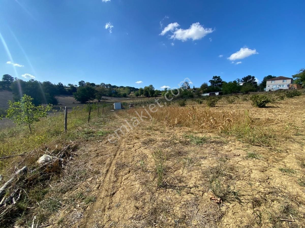 Sakarya Adapazarı Aşırlar Mahallesinde Fırsat Tarla - Görsel 33