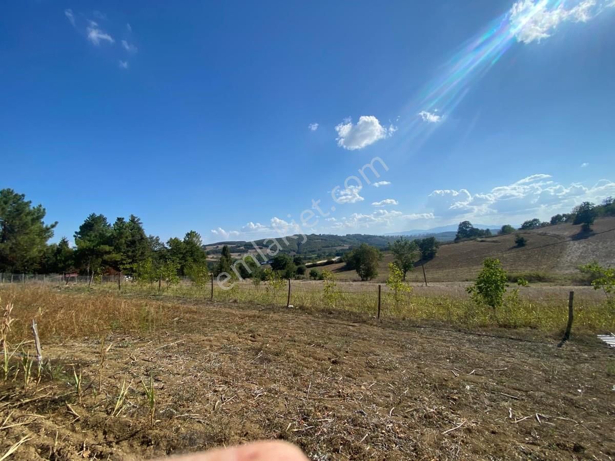 Sakarya Adapazarı Aşırlar Mahallesinde Fırsat Tarla - Görsel 6