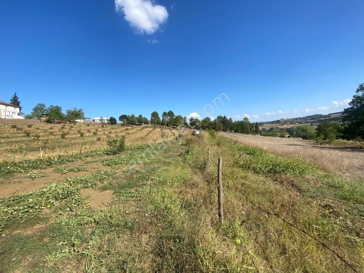 Sakarya Adapazarı Aşırlar Mahallesinde Fırsat Tarla - Görsel 29