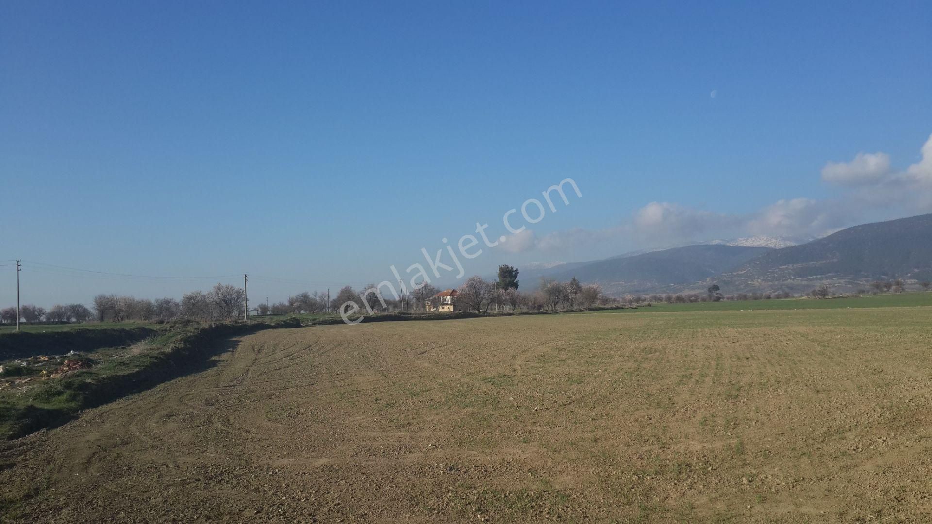 Burdur Bucak Ürkütlü De Satılık 1240 M2 Tarla