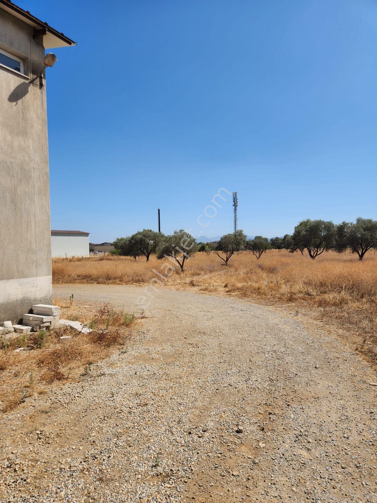 Görecede Merkezi Konumda 12.700m2 Üzerinde 1.000m2 Kapalı Alana Sahip Kiralık Arazi - Görsel 21