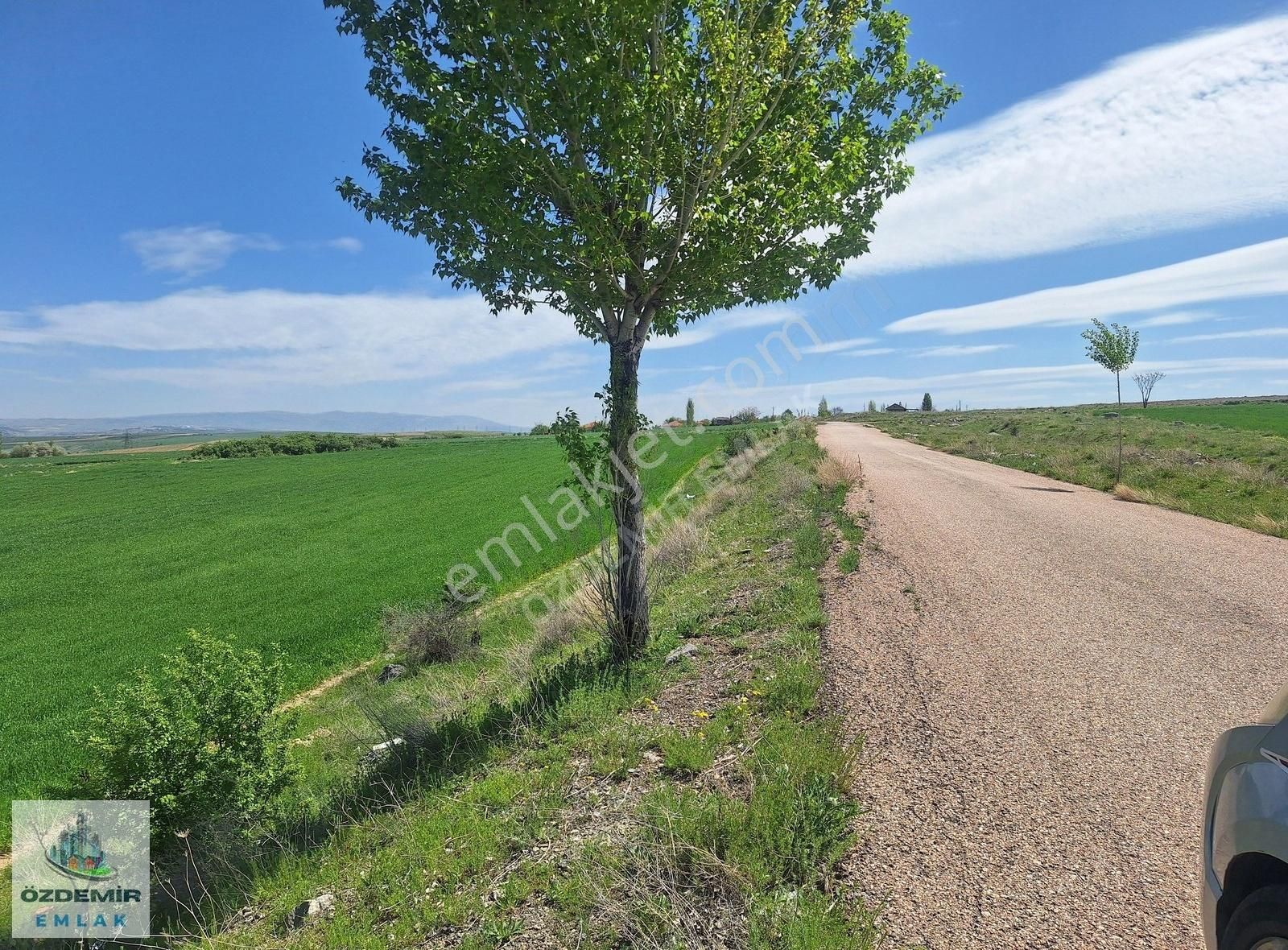 Özdemir Den Üreğil Natavegaya Ya Yakın Konut İmarlı 200m2 Arsa - Görsel 8