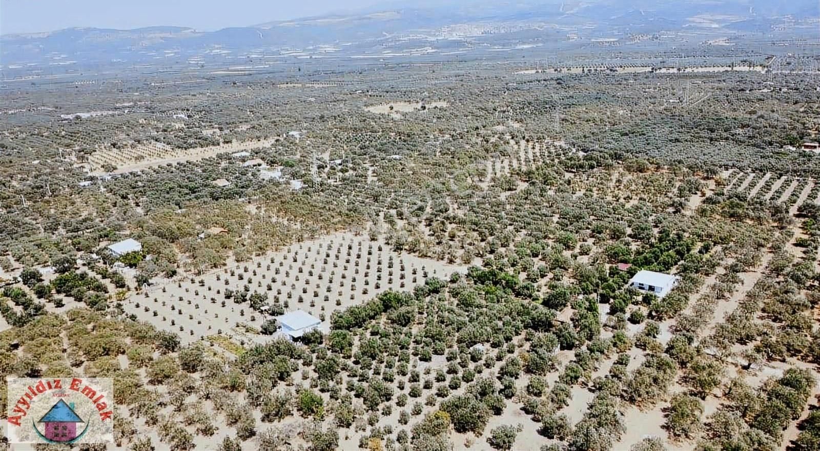 Efendi Mah Bilal Habeşi Camine 400 Metre Elektrik Su Yol Var - Görsel 5