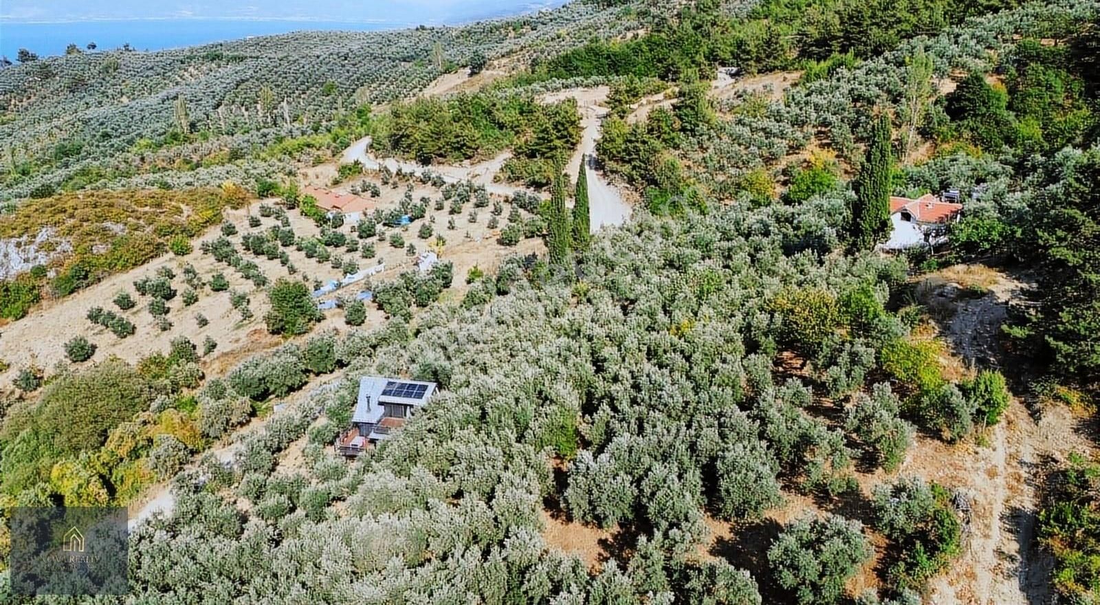 Nova Realty'den İznik Müşküle De Fırsat Zeytinlik