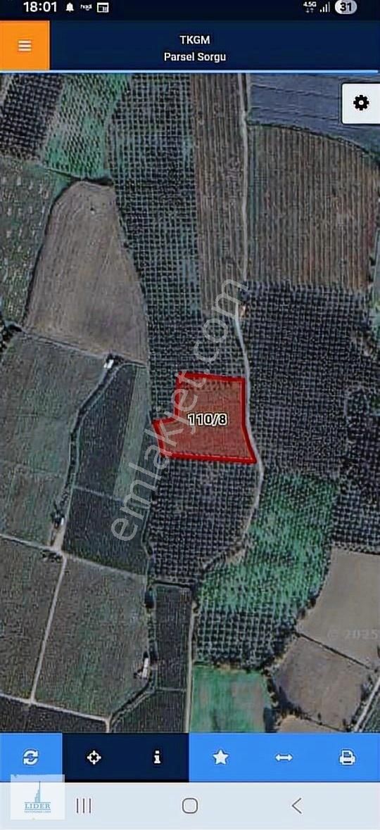 Bursa Orhangazi Yenigürle'de 5265m2 Resmi Yol Cephe Kupon Arazi