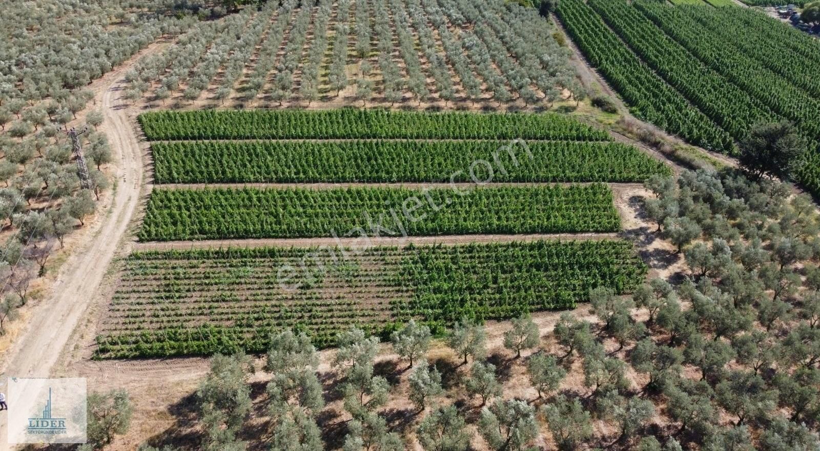 Bursa Orhangazi Yenigürle'de 5265m2 Resmi Yol Cephe Kupon Arazi - Görsel 11