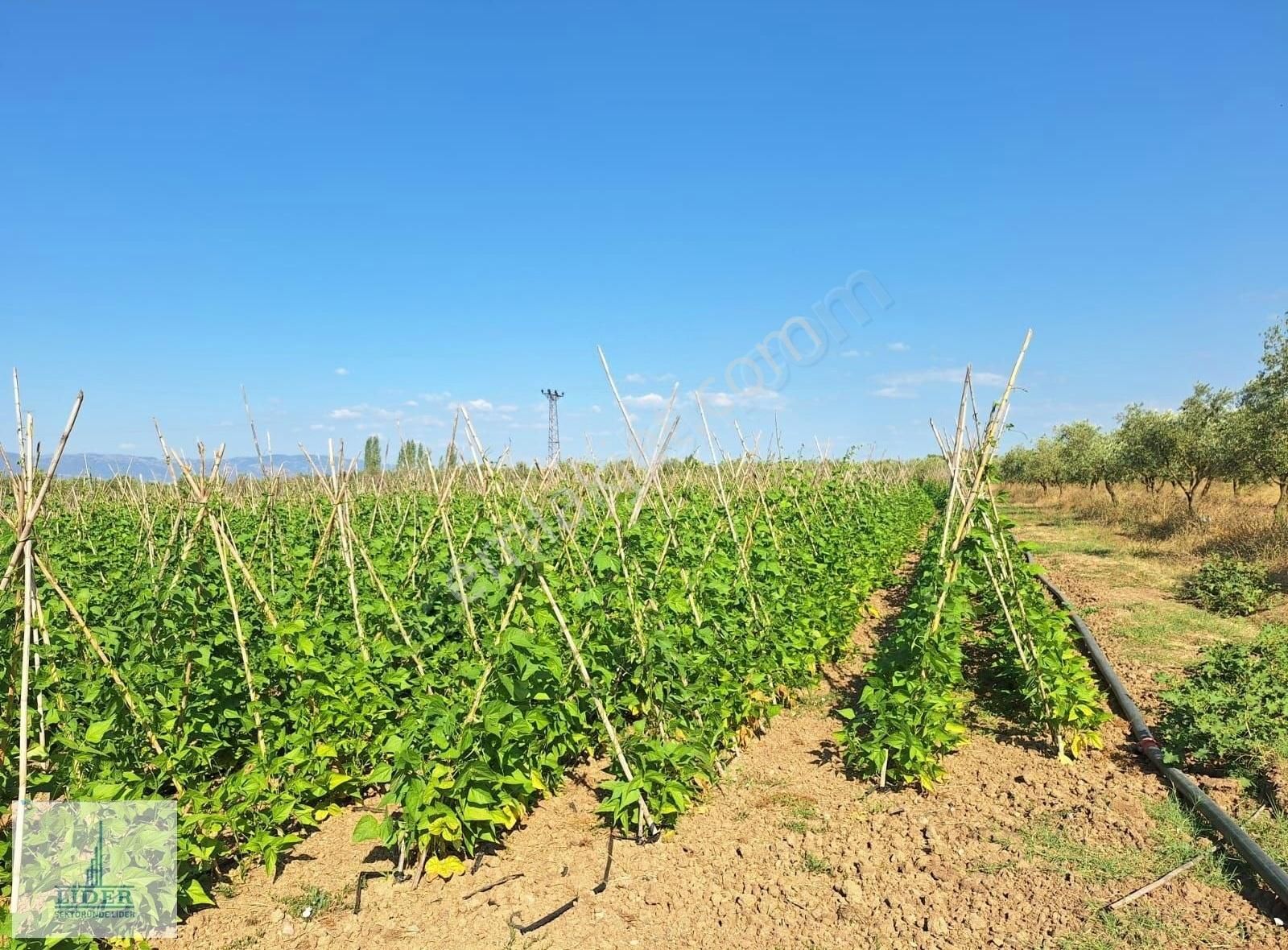 Bursa Orhangazi Yenigürle'de 5265m2 Resmi Yol Cephe Kupon Arazi - Görsel 9