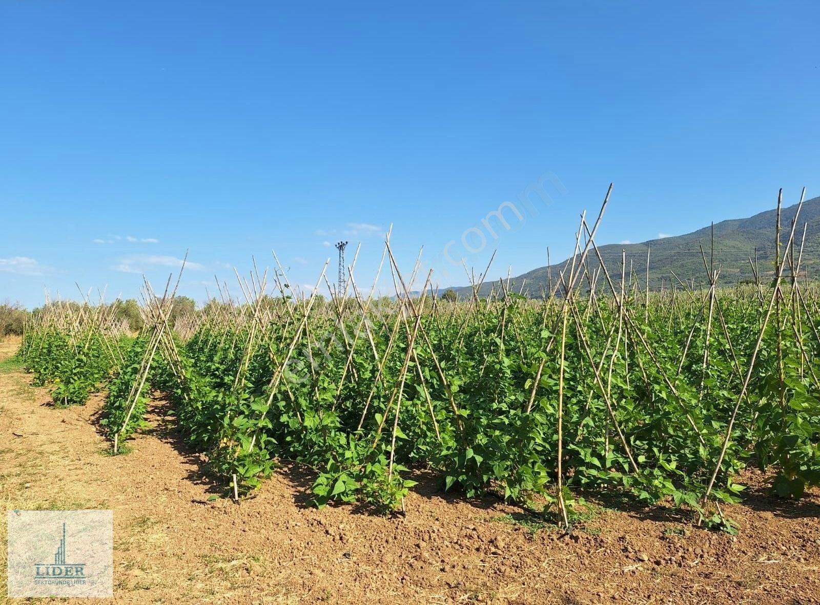 Bursa Orhangazi Yenigürle'de 5265m2 Resmi Yol Cephe Kupon Arazi - Görsel 22