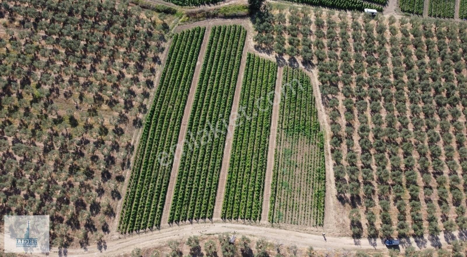 Bursa Orhangazi Yenigürle'de 5265m2 Resmi Yol Cephe Kupon Arazi - Görsel 28