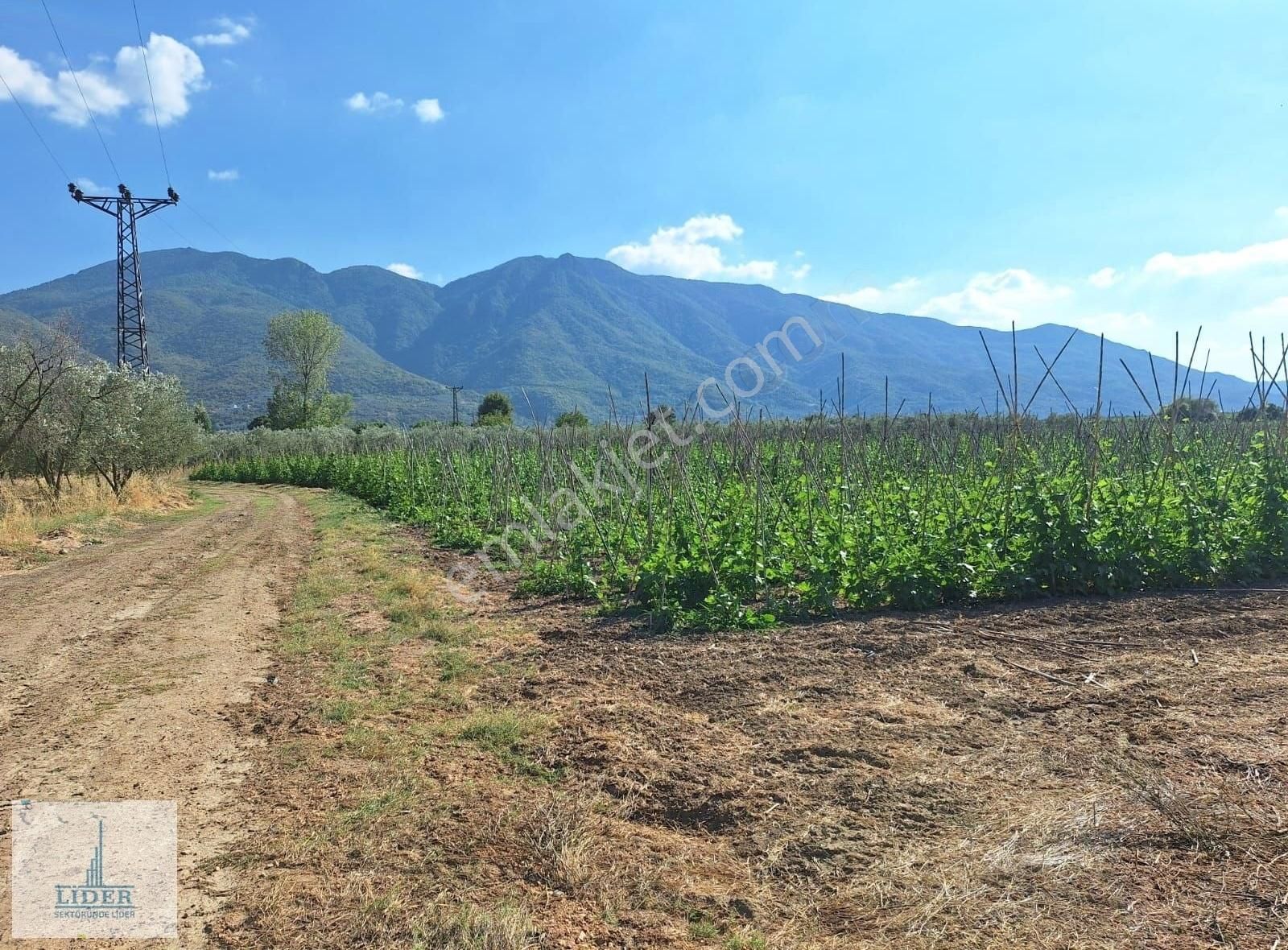 Bursa Orhangazi Yenigürle'de 5265m2 Resmi Yol Cephe Kupon Arazi - Görsel 13