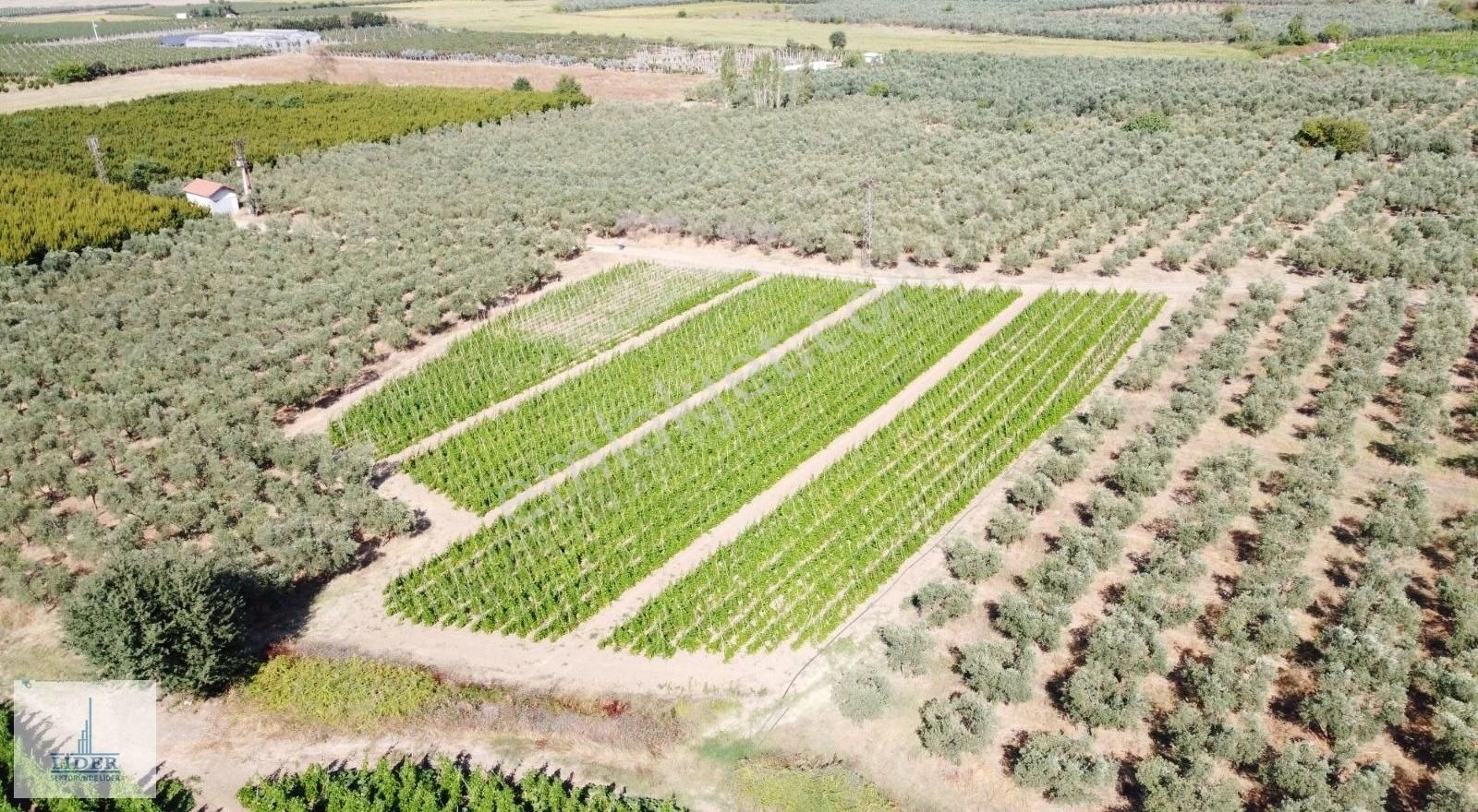 Bursa Orhangazi Yenigürle'de 5265m2 Resmi Yol Cephe Kupon Arazi - Görsel 26