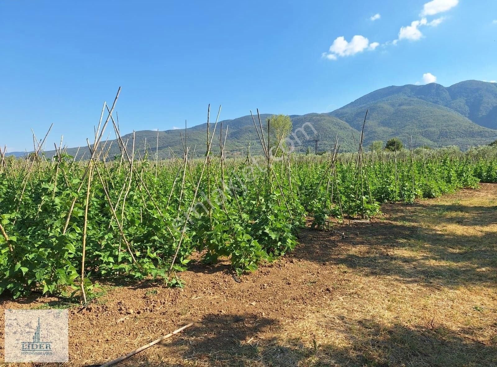 Bursa Orhangazi Yenigürle'de 5265m2 Resmi Yol Cephe Kupon Arazi - Görsel 7