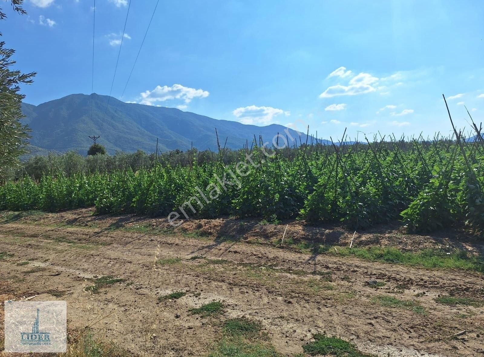 Bursa Orhangazi Yenigürle'de 5265m2 Resmi Yol Cephe Kupon Arazi - Görsel 24