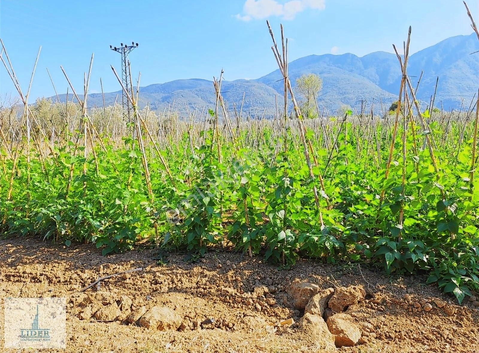 Bursa Orhangazi Yenigürle'de 5265m2 Resmi Yol Cephe Kupon Arazi - Görsel 19