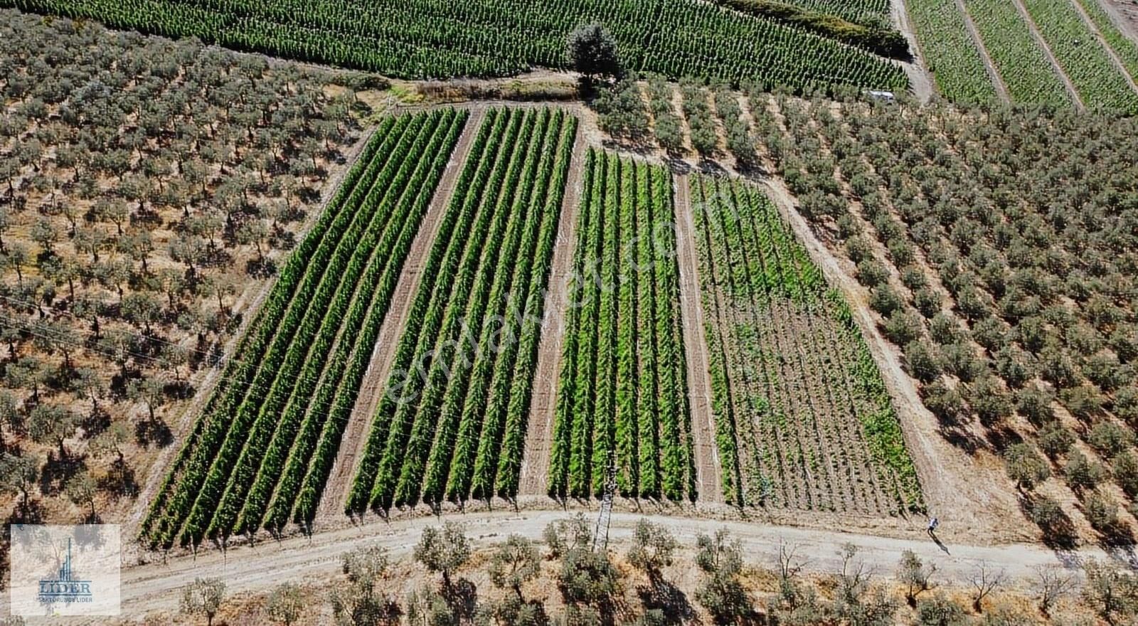 Bursa Orhangazi Yenigürle'de 5265m2 Resmi Yol Cephe Kupon Arazi - Görsel 17