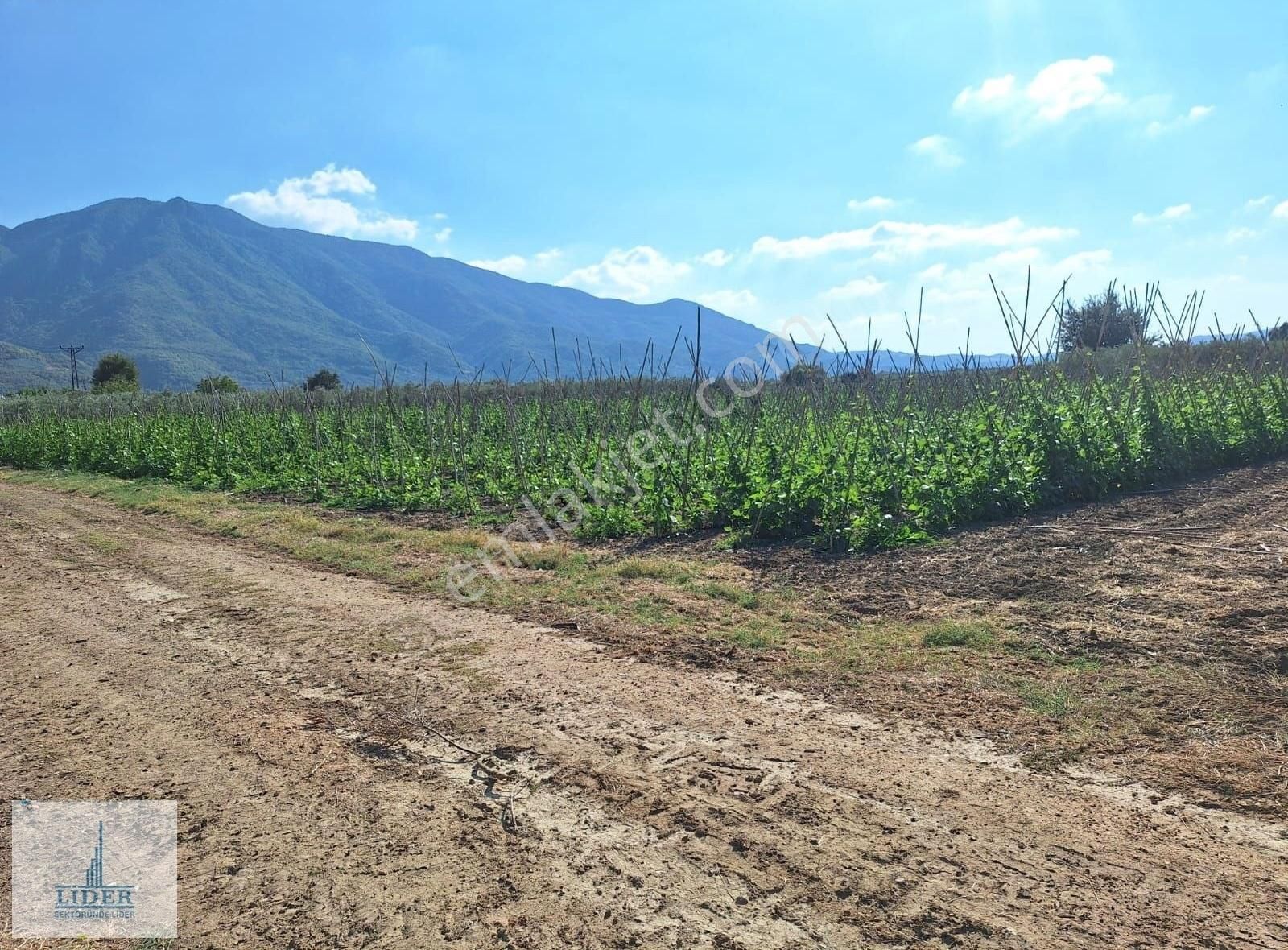 Bursa Orhangazi Yenigürle'de 5265m2 Resmi Yol Cephe Kupon Arazi - Görsel 3