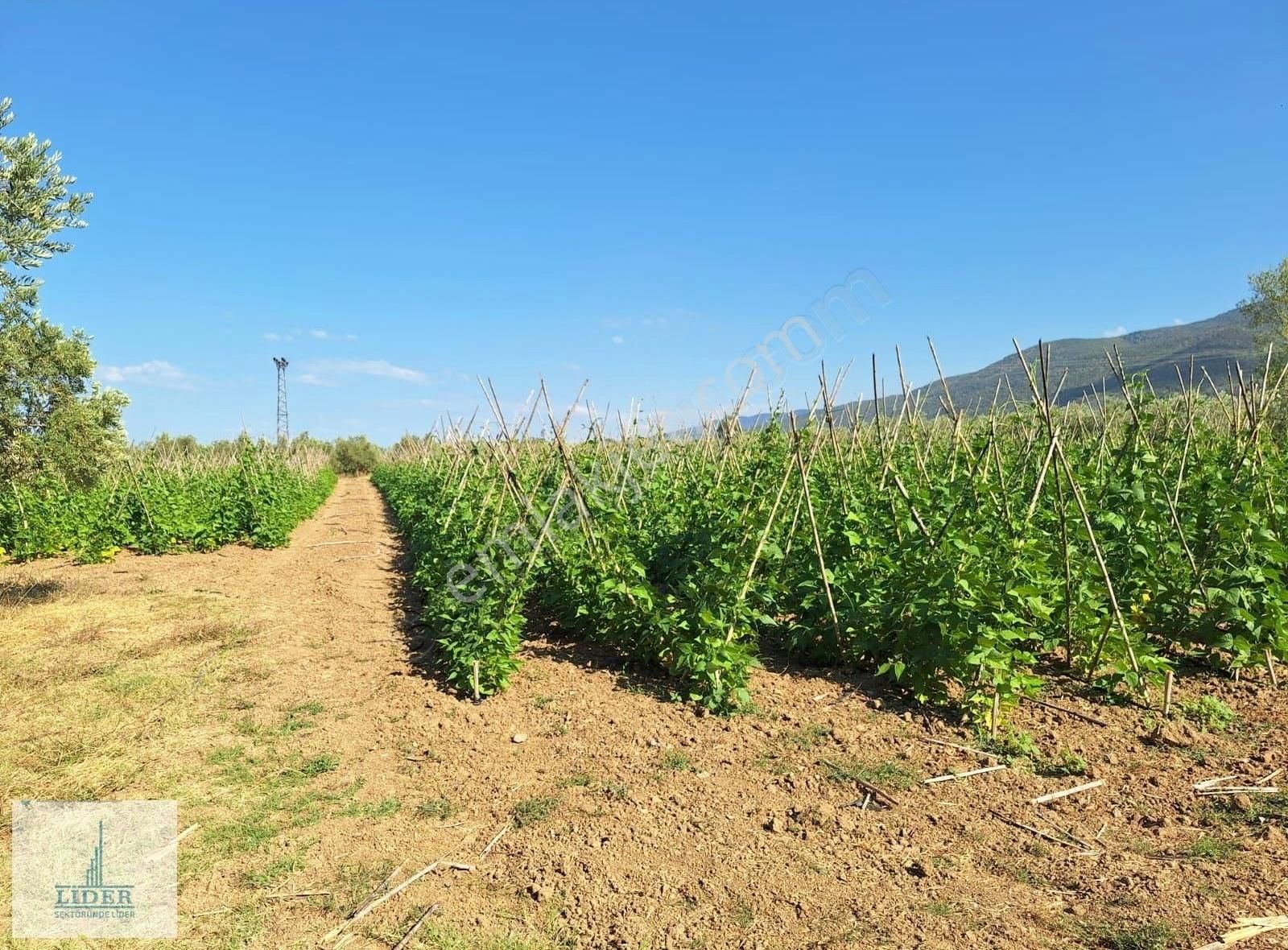 Bursa Orhangazi Yenigürle'de 5265m2 Resmi Yol Cephe Kupon Arazi - Görsel 14