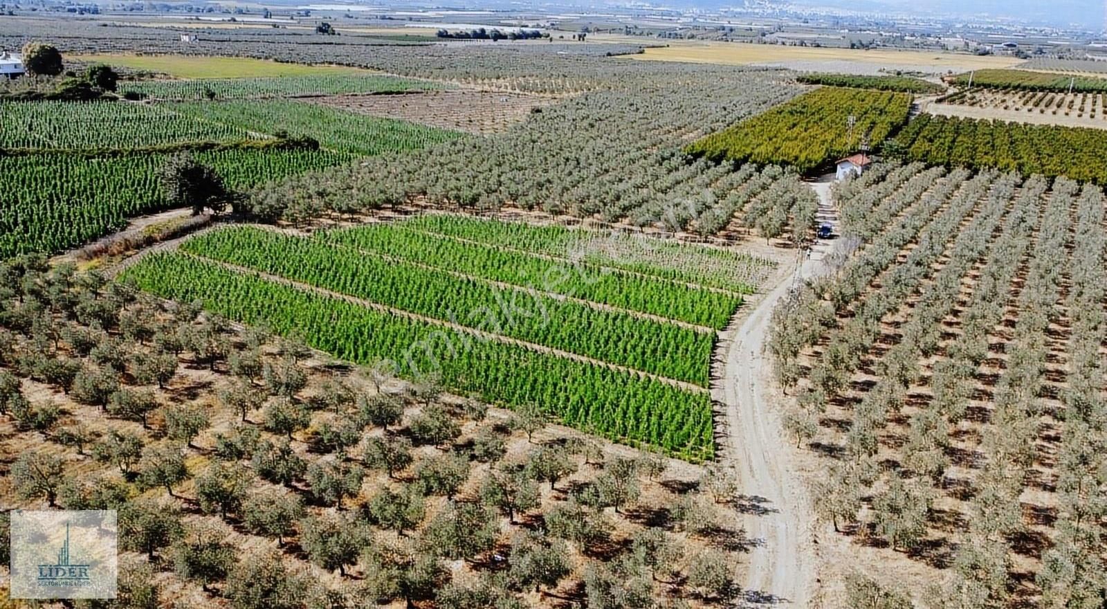 Bursa Orhangazi Yenigürle'de 5265m2 Resmi Yol Cephe Kupon Arazi - Görsel 10