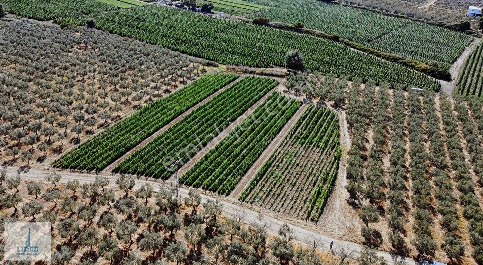 Bursa Orhangazi Yenigürle'de 5265m2 Resmi Yol Cephe Kupon Arazi - Görsel 15