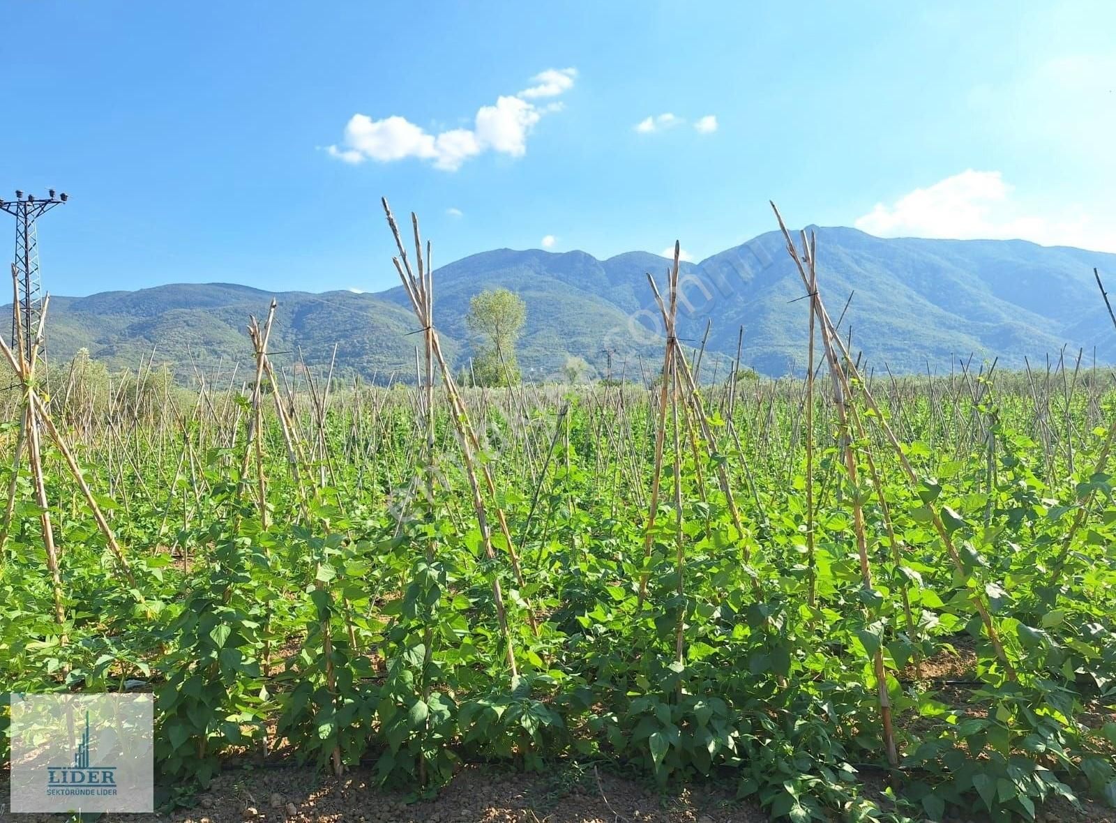 Bursa Orhangazi Yenigürle'de 5265m2 Resmi Yol Cephe Kupon Arazi - Görsel 27