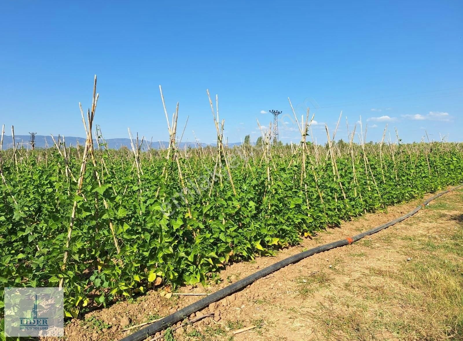 Bursa Orhangazi Yenigürle'de 5265m2 Resmi Yol Cephe Kupon Arazi - Görsel 29