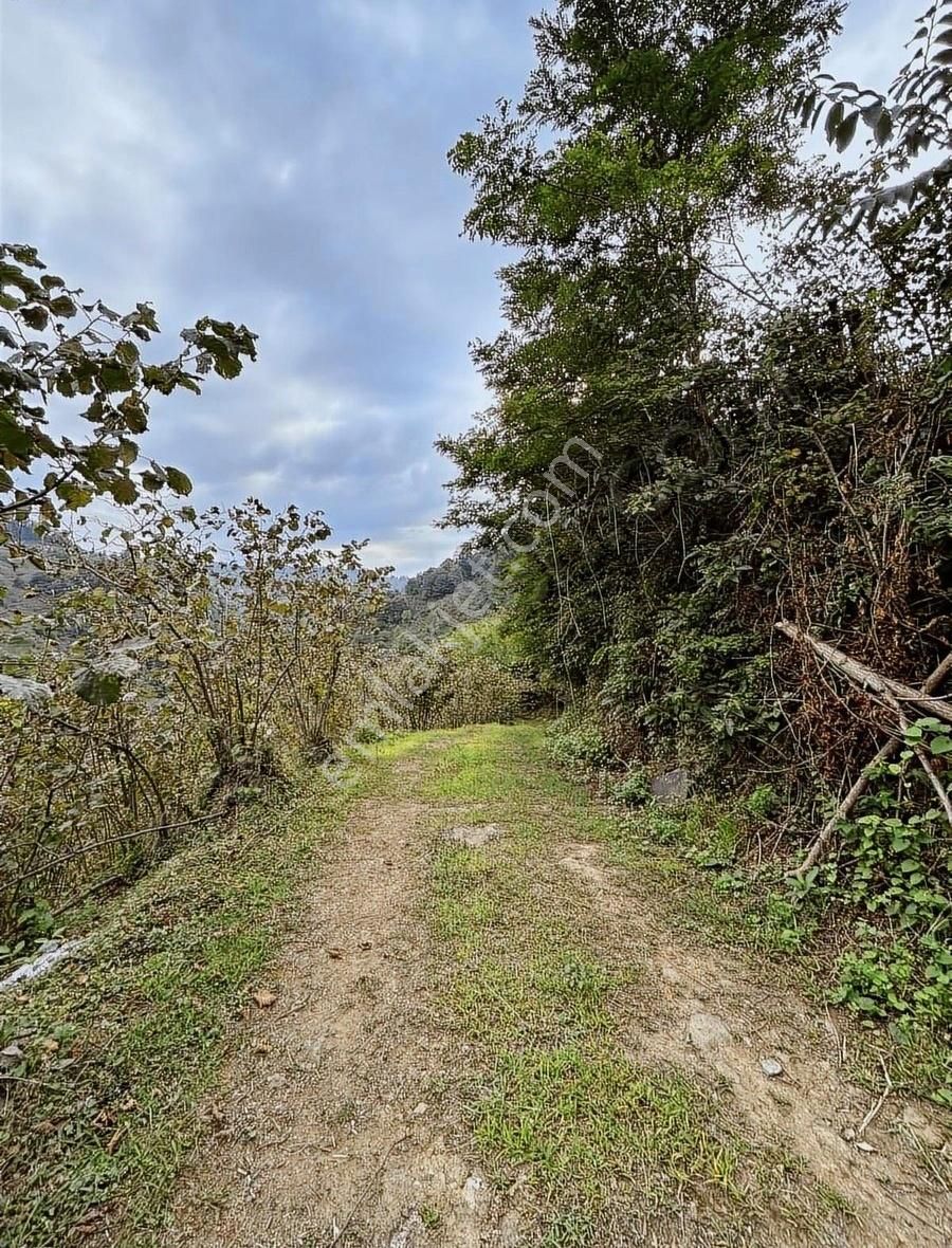 Acill Satılık! Kırlıda Toplam 14.738 M2 4 Müstakil Tapu - Görsel 6