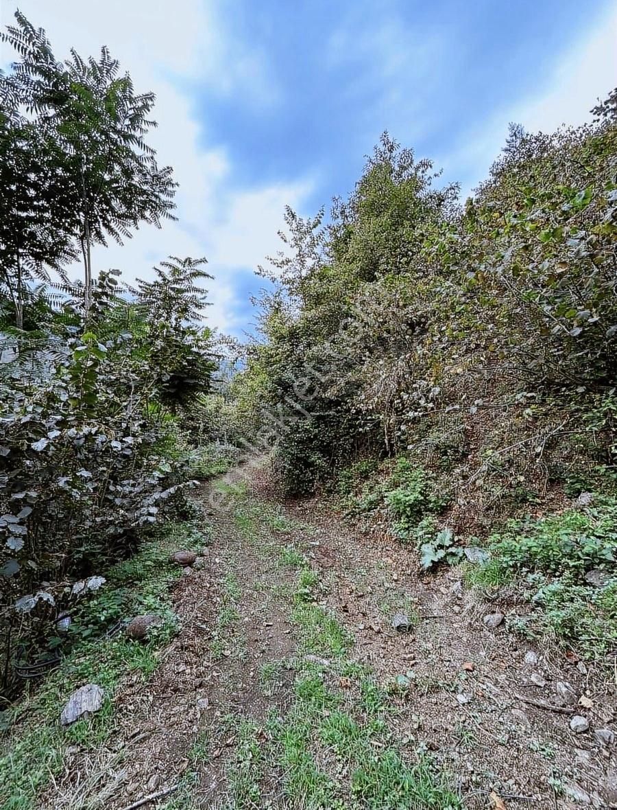 Acill Satılık! Kırlıda Toplam 14.738 M2 4 Müstakil Tapu - Görsel 5