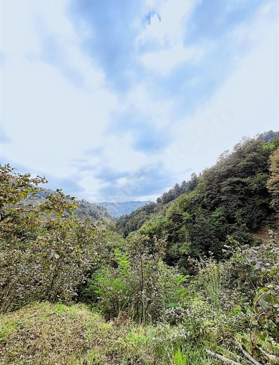 Acill Satılık! Kırlıda Toplam 14.738 M2 4 Müstakil Tapu - Görsel 15