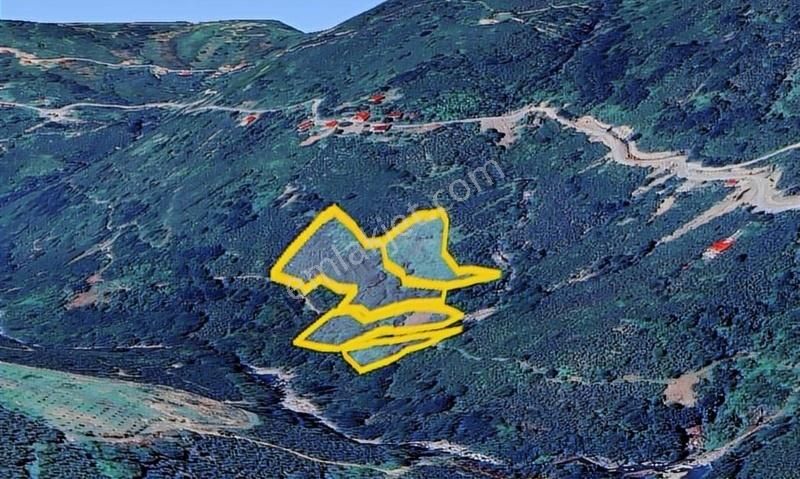 Acill Satılık! Kırlıda Toplam 14.738 M2 4 Müstakil Tapu - Görsel 16