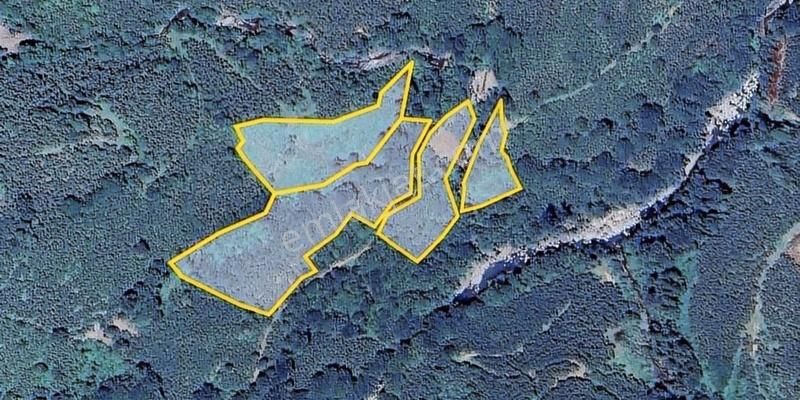 Acill Satılık! Kırlıda Toplam 14.738 M2 4 Müstakil Tapu