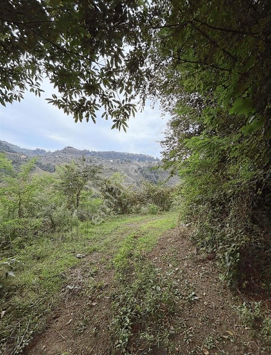 Acill Satılık! Kırlıda Toplam 14.738 M2 4 Müstakil Tapu - Görsel 17