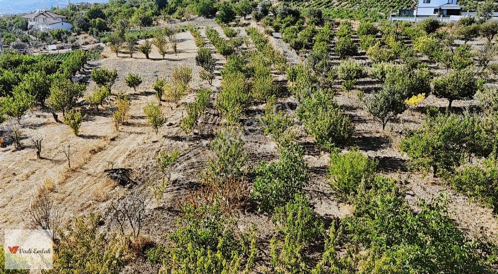 Satılık Vadi Emlak'tan 1645 M2 Arsa - Görsel 17
