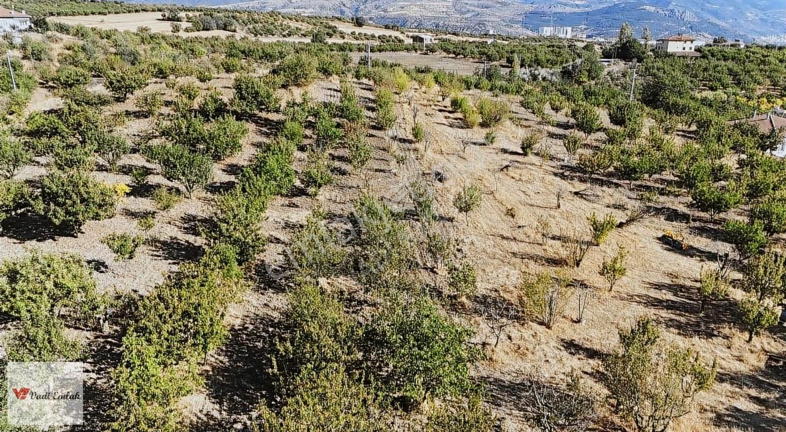 Satılık Vadi Emlak'tan 1645 M2 Arsa