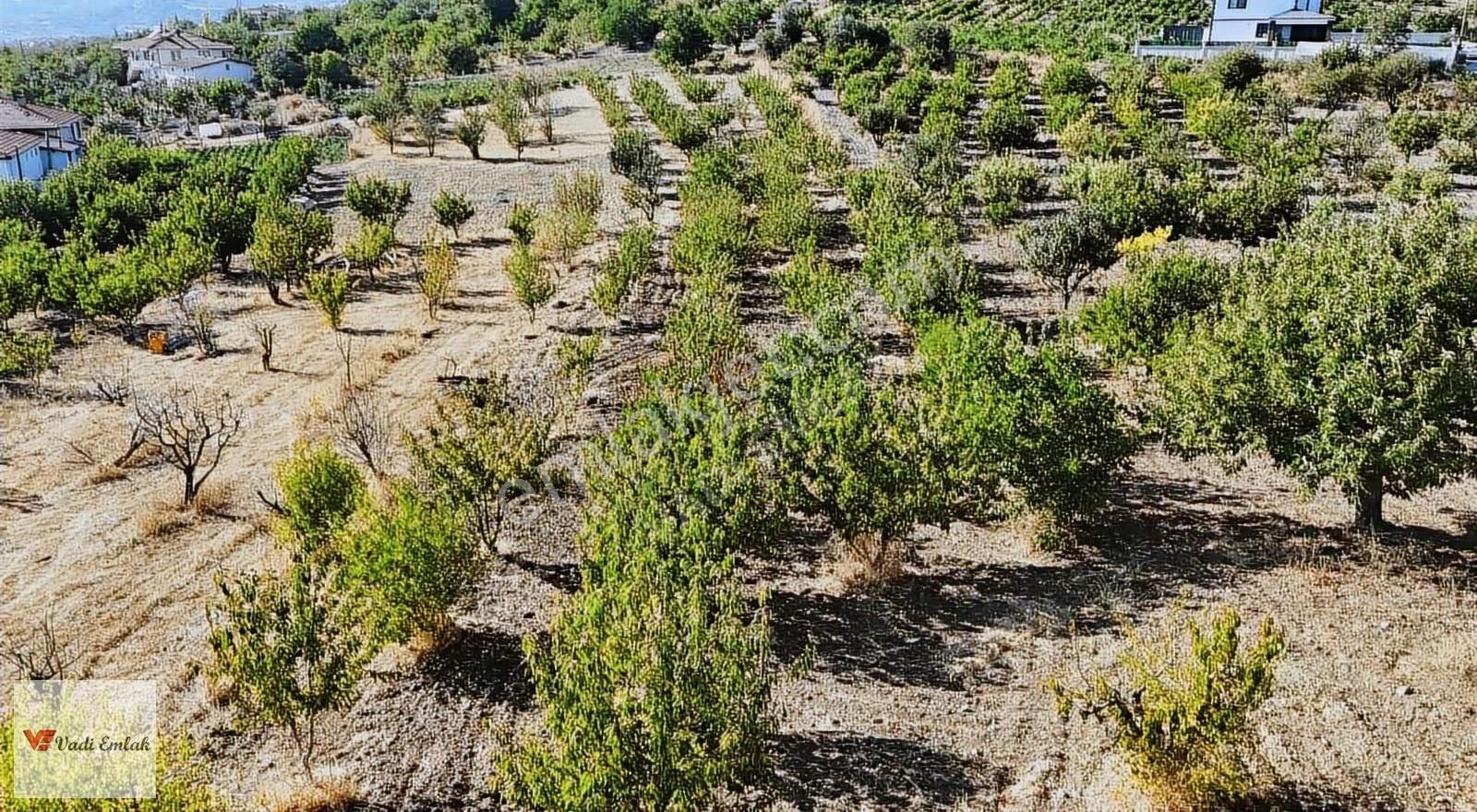 Satılık Vadi Emlak'tan 1645 M2 Arsa - Görsel 28
