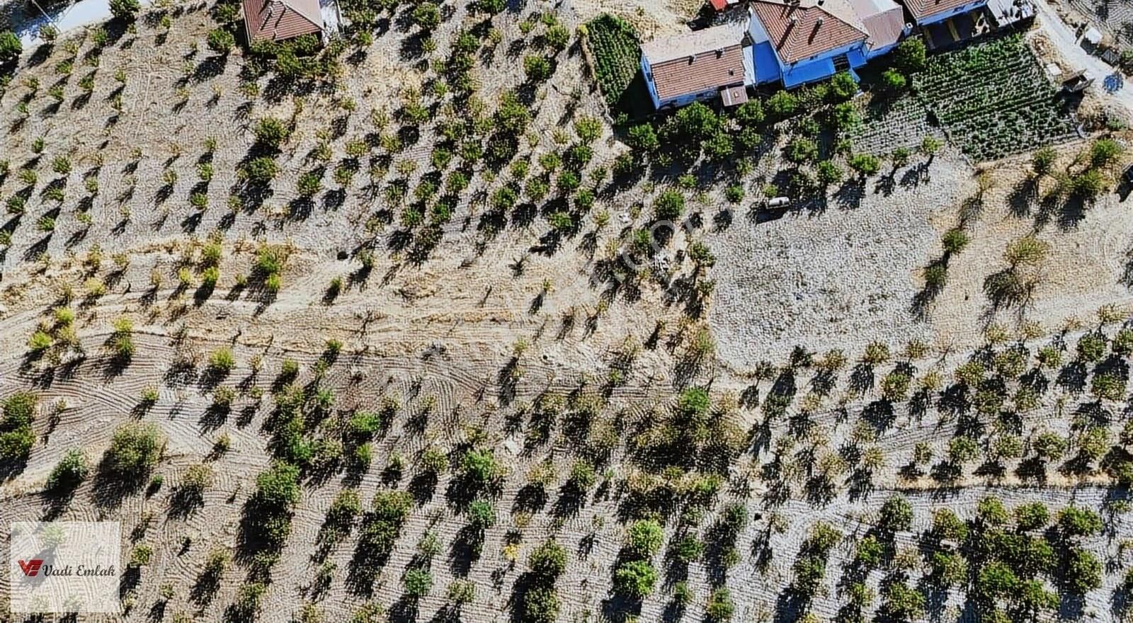 Satılık Vadi Emlak'tan 1645 M2 Arsa - Görsel 32