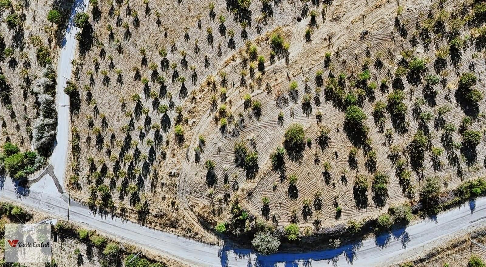 Satılık Vadi Emlak'tan 1645 M2 Arsa - Görsel 20