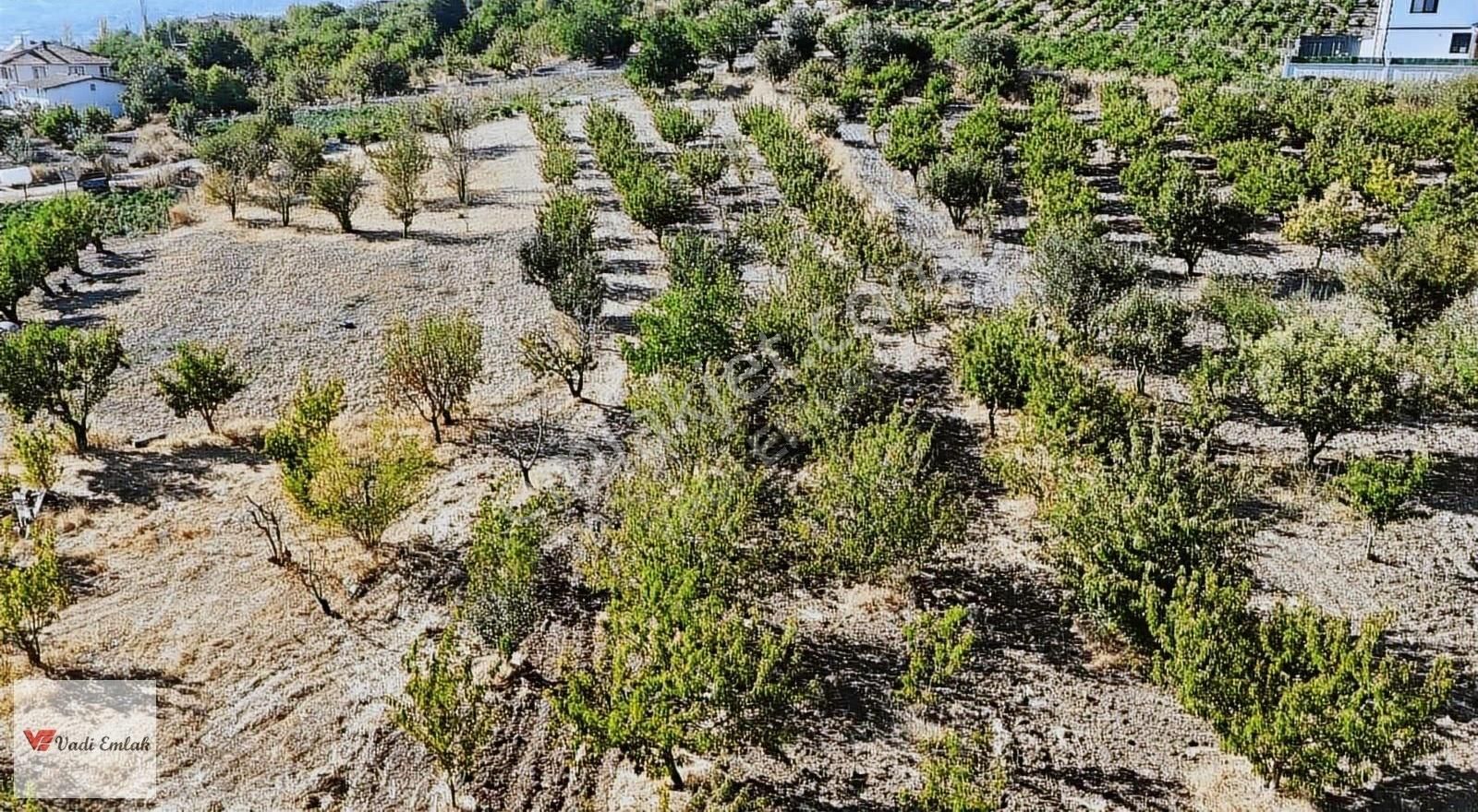 Satılık Vadi Emlak'tan 1645 M2 Arsa - Görsel 6