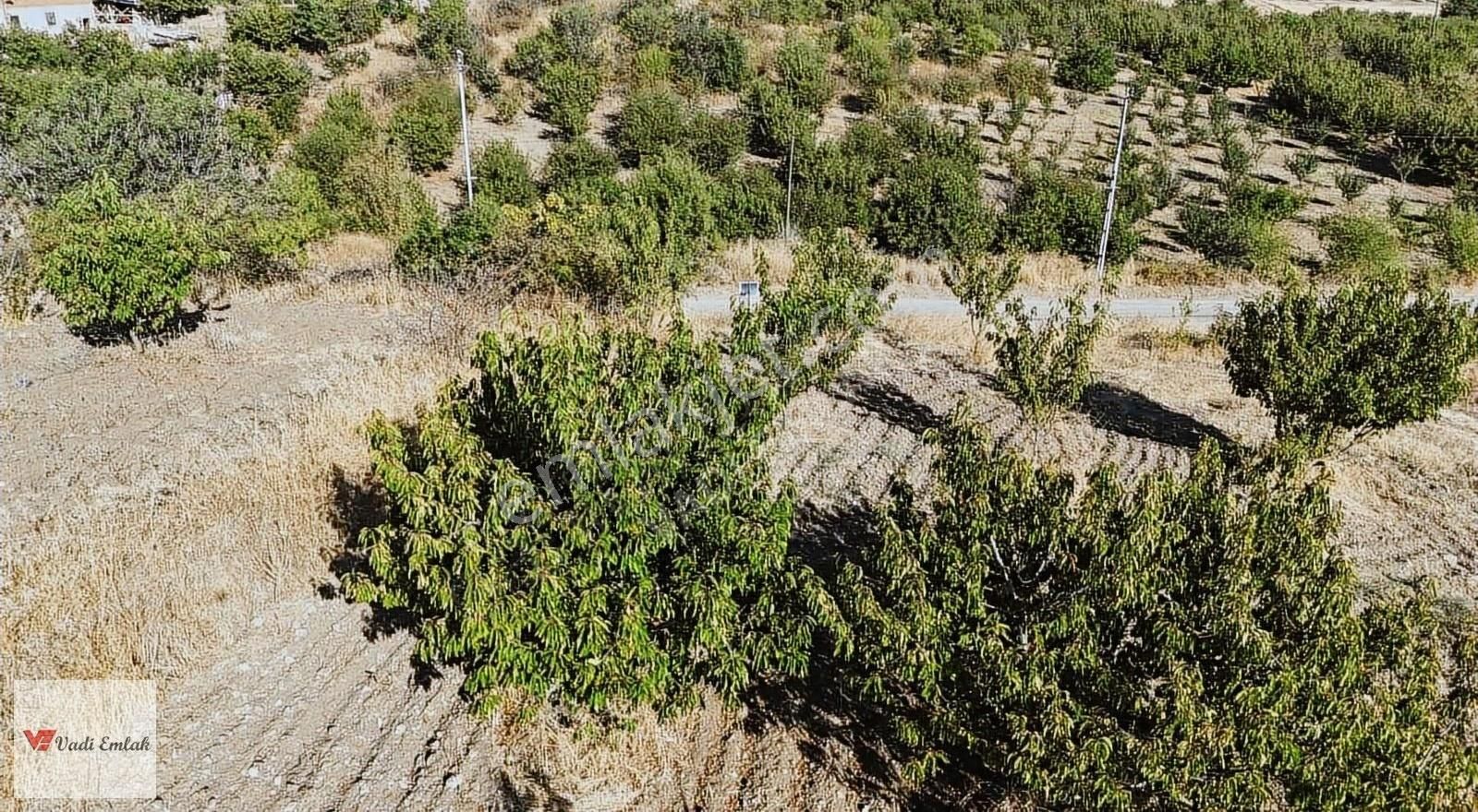 Satılık Vadi Emlak'tan 1645 M2 Arsa - Görsel 30