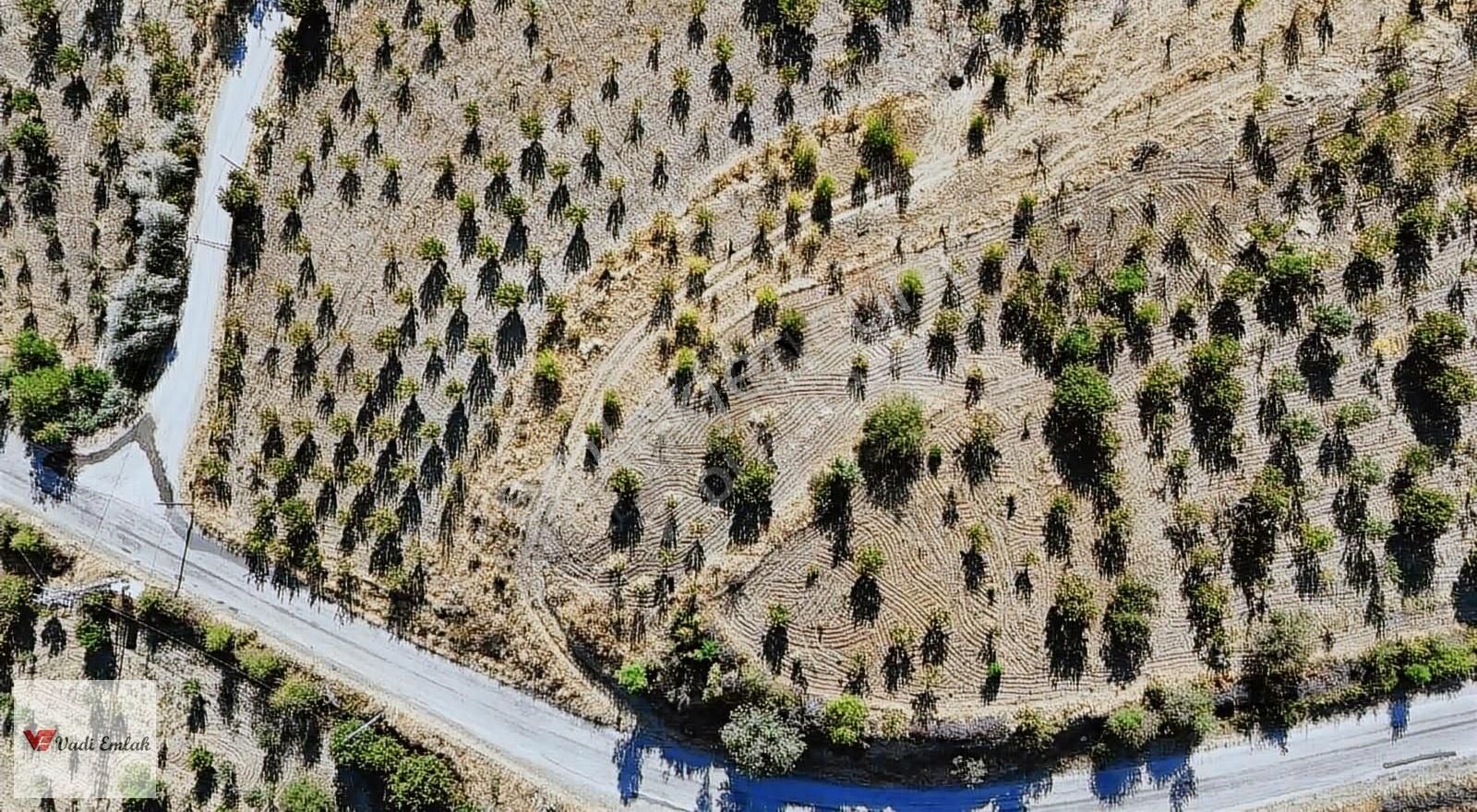 Satılık Vadi Emlak'tan 1645 M2 Arsa - Görsel 26