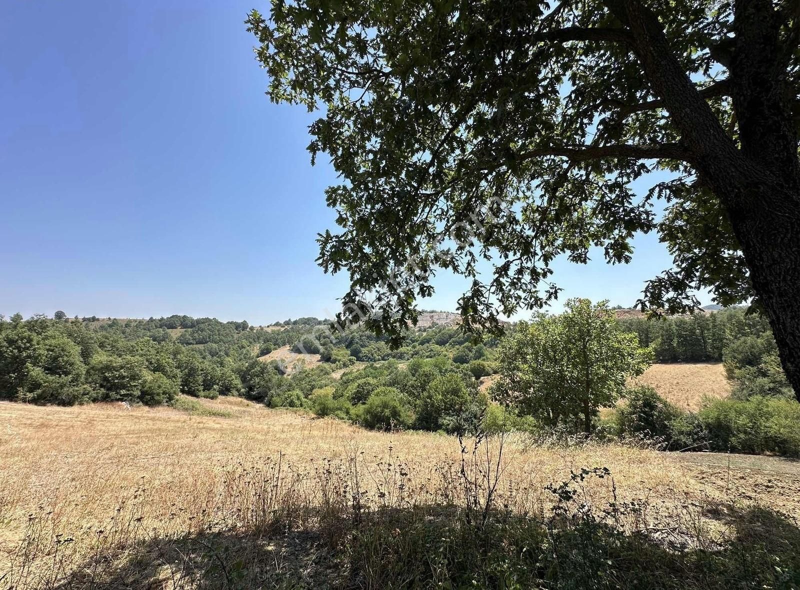 Özdemir Den Güngörende Kadastro Yoluna Cephe Tek Tapu - Görsel 14