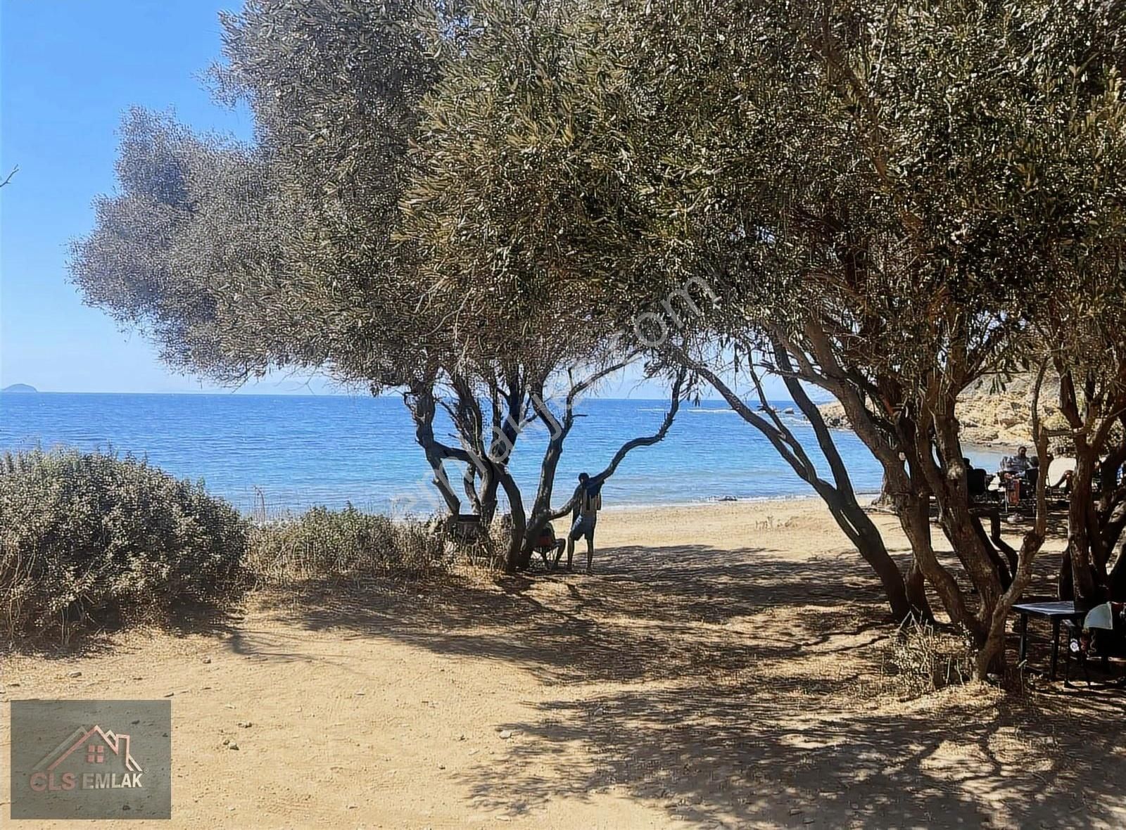 Fırsat.fırsat Kelepir Natamam Masraflı Satılık Dubleks ! - Görsel 14