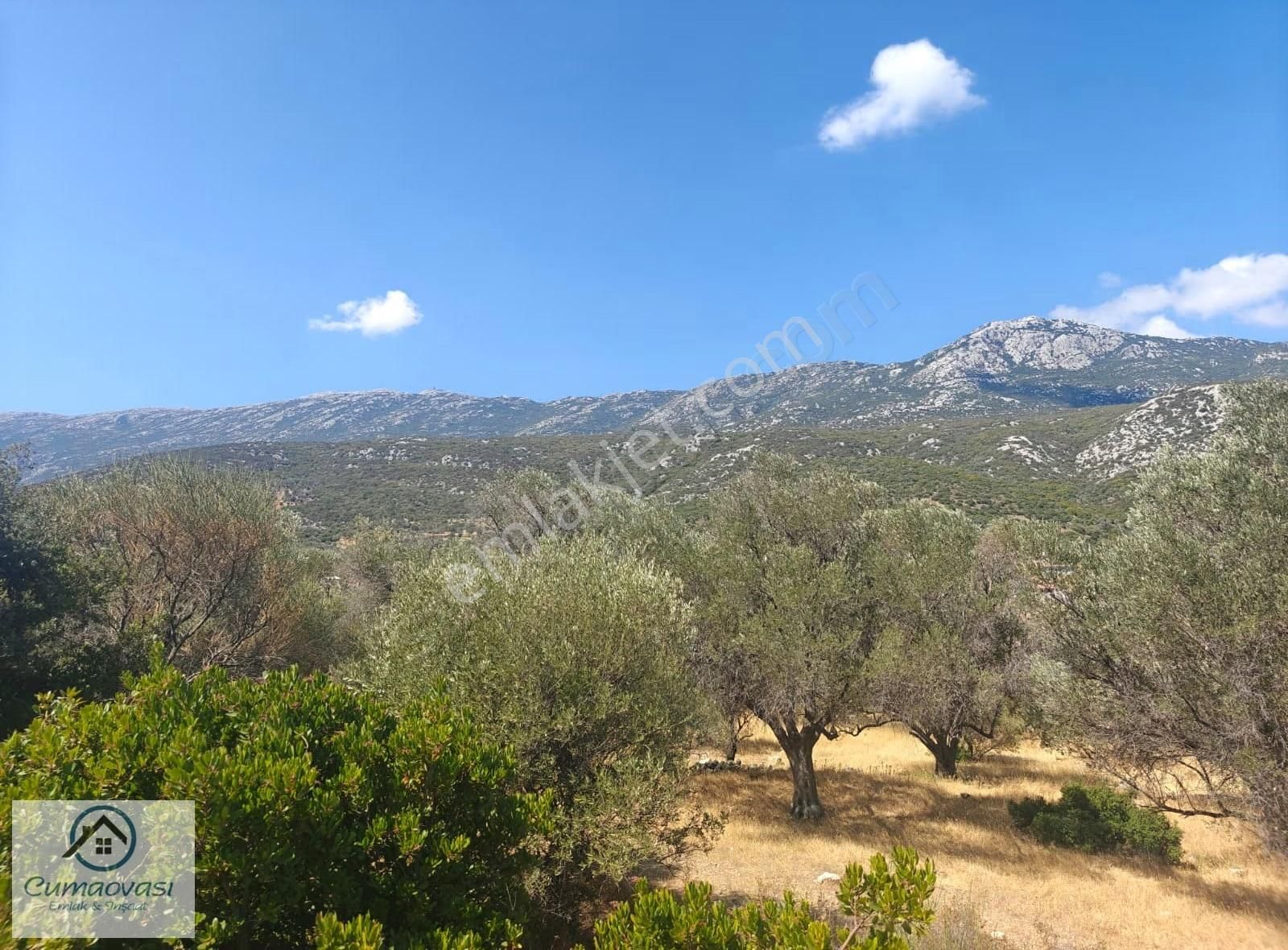 Cumaovası Emlak'tan Satılık Karaburun Eğlenhoca Köyü Tarla - Görsel 12