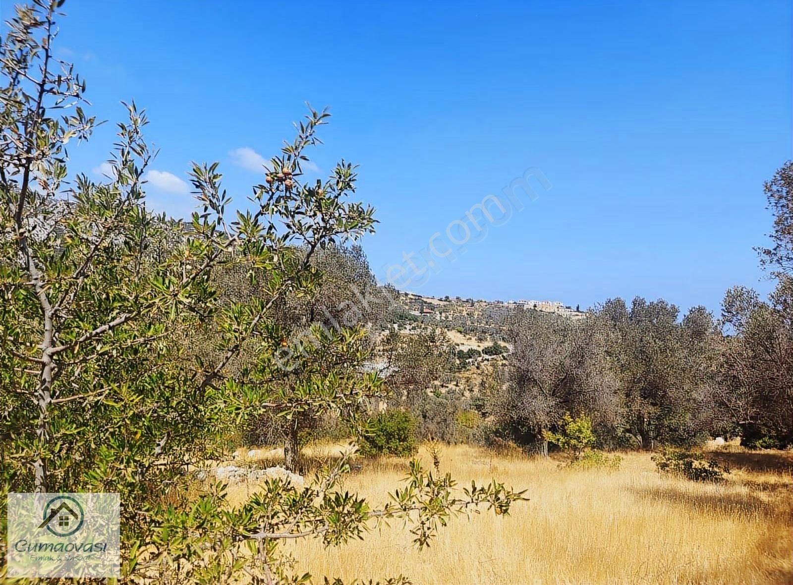 Cumaovası Emlak'tan Satılık Karaburun Eğlenhoca Köyü Tarla - Görsel 7