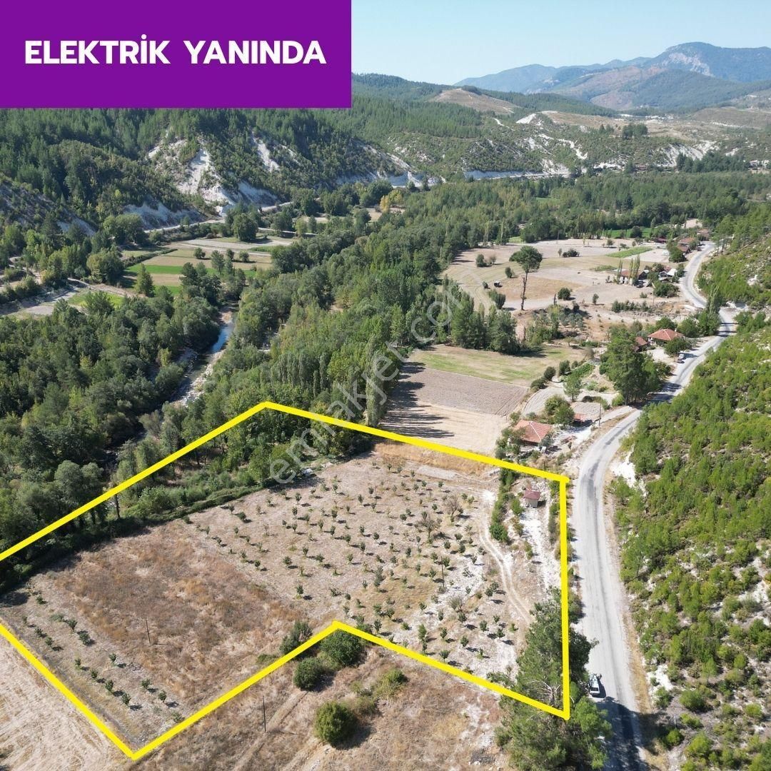 🦋 Acıpayam Suçatı'da 10.700 M² Cennet Elması Bahçemiz Satılıktır.🦋 - Görsel 4