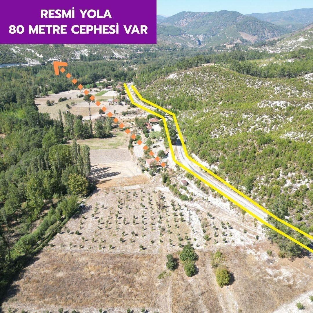 🦋 Acıpayam Suçatı'da 10.700 M² Cennet Elması Bahçemiz Satılıktır.🦋 - Görsel 3