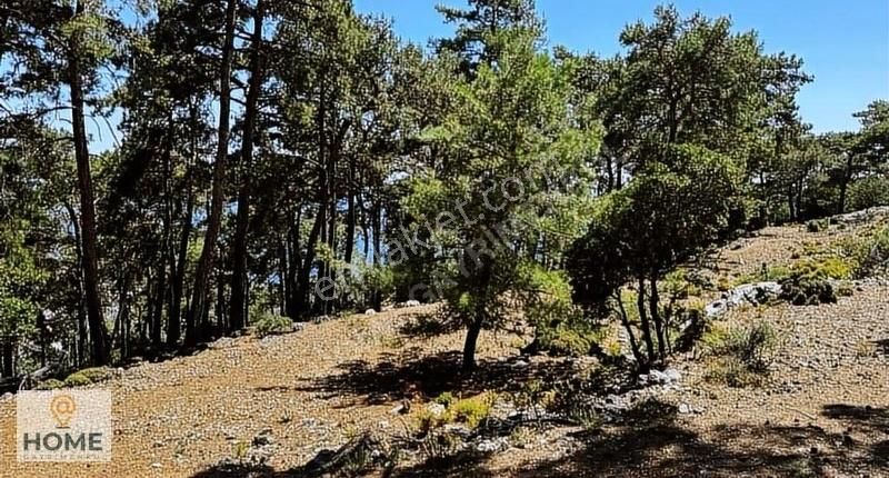 Home Gayrimenkul Den Fırsat Fethiye Seydikemer De 3797m2 Tarla - Görsel 28