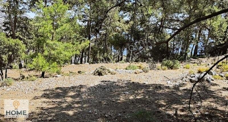 Home Gayrimenkul Den Fırsat Fethiye Seydikemer De 3797m2 Tarla - Görsel 4
